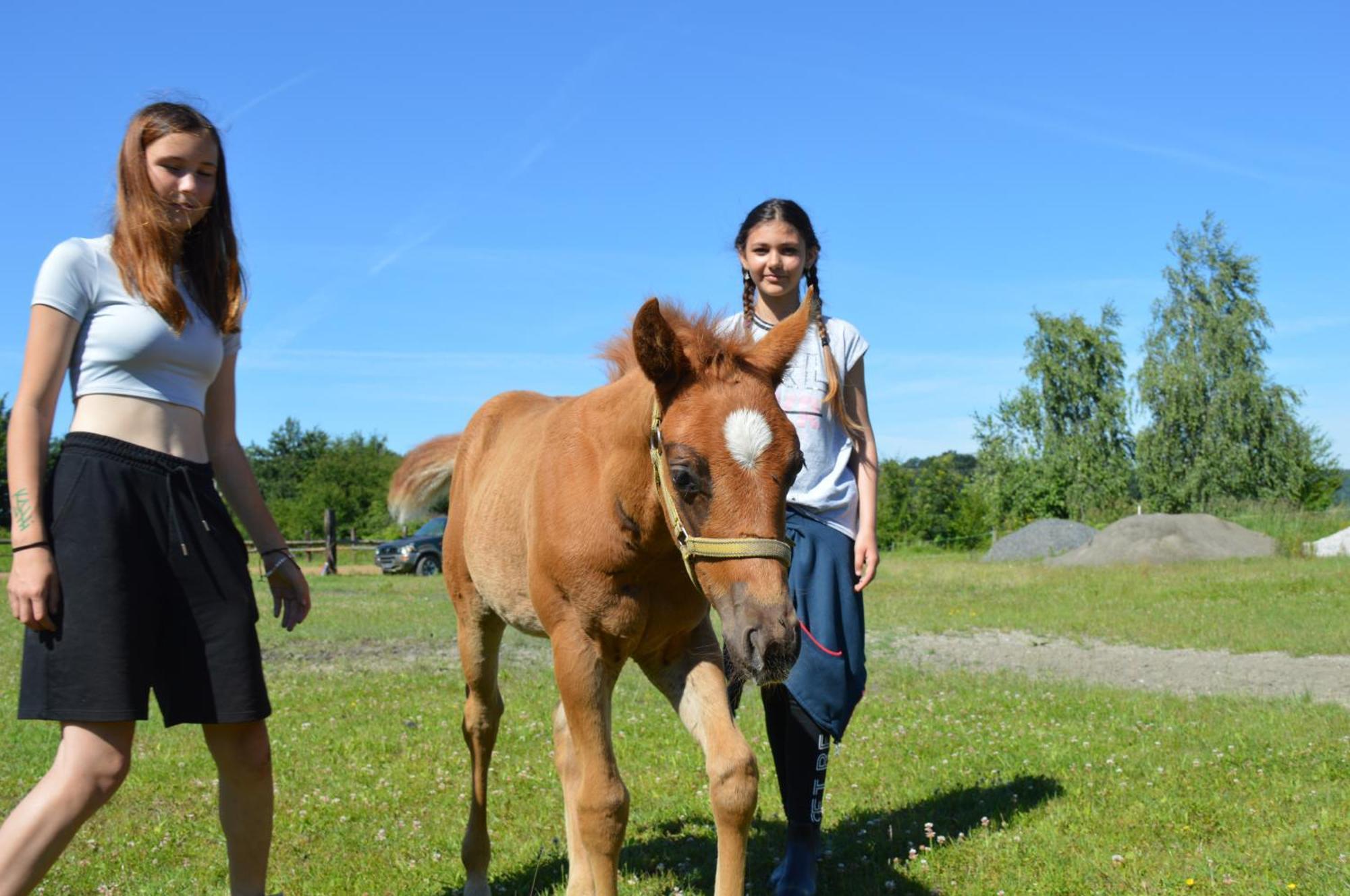 Bubla City Ranch Kopřivnice Exteriér fotografie