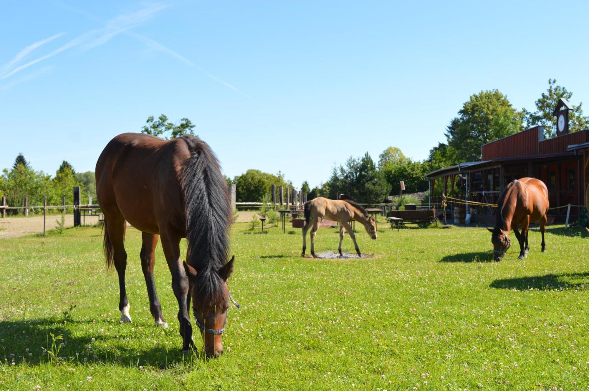 Bubla City Ranch Kopřivnice Exteriér fotografie